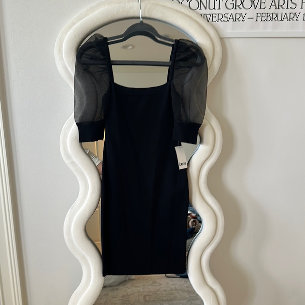 Bar III mini black dress with mesh puffy sleeves